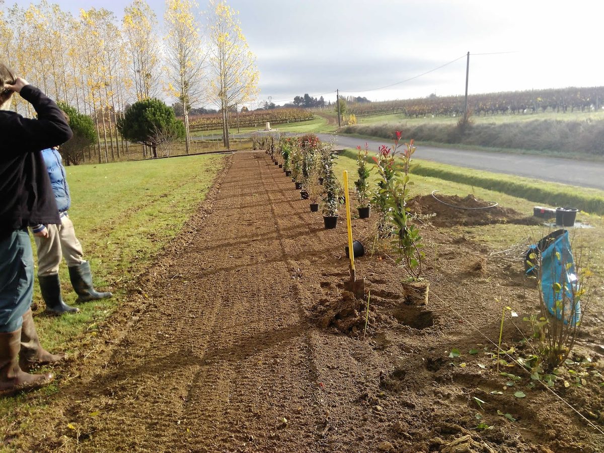Entretien de jardin